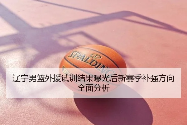 辽宁男篮外援试训结果曝光后新赛季补强方向全面分析