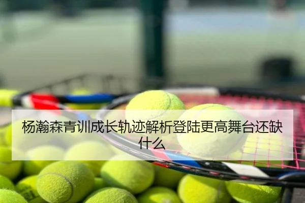 杨瀚森青训成长轨迹解析登陆更高舞台还缺什么