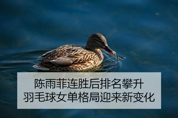 陈雨菲连胜后排名攀升 羽毛球女单格局迎来新变化